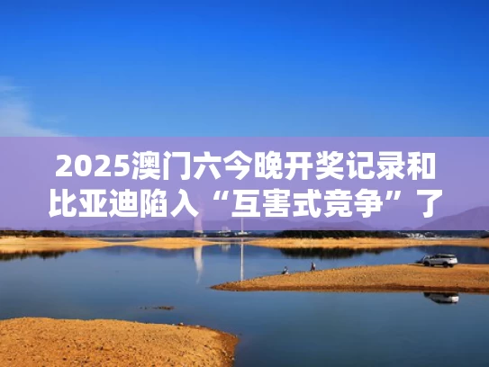 2025澳门六今晚开奖记录和比亚迪陷入“互害式竞争”了吗与比亚迪竟争对手