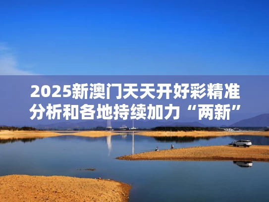 2025新澳门天天开好彩精准分析和各地持续加力“两新”政策与两新制度