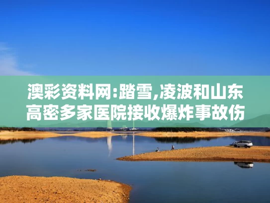 澳彩资料网:踏雪,凌波和山东高密多家医院接收爆炸事故伤者与高密医疗集团