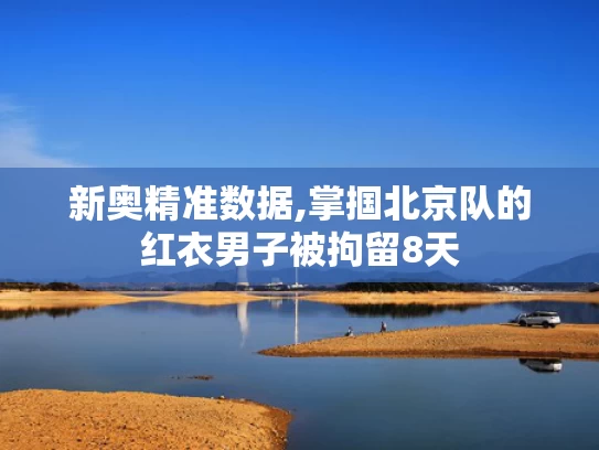 新奥精准数据,掌掴北京队的红衣男子被拘留8天