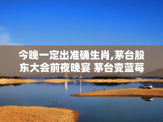 今晚一定出准确生肖,茅台股东大会前夜晚宴 茅台变蓝莓汁