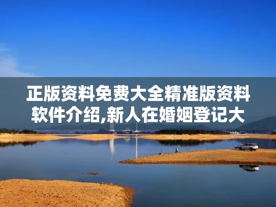正版资料免费大全精准版资料软件介绍,新人在婚姻登记大厅打架？系摆拍