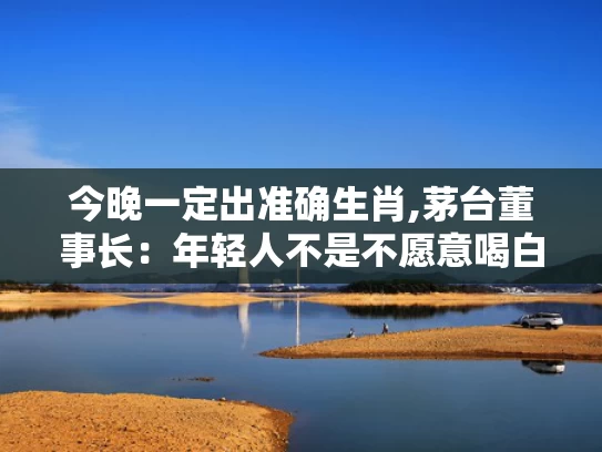 今晚一定出准确生肖,茅台董事长：年轻人不是不愿意喝白酒