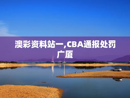 澳彩资料站一,CBA通报处罚广厦