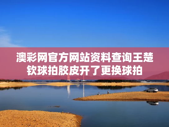 澳彩网官方网站资料查询	王楚钦球拍胶皮开了更换球拍