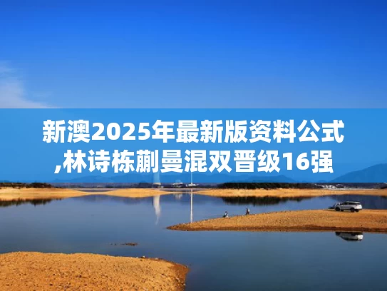 新澳2025年最新版资料公式,林诗栋蒯曼混双晋级16强