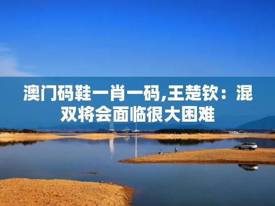 澳门码鞋一肖一码,王楚钦：混双将会面临很大困难