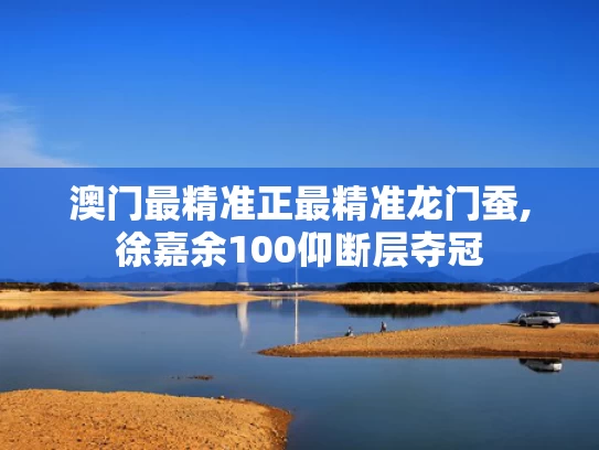 澳门最精准正最精准龙门蚕,徐嘉余100仰断层夺冠