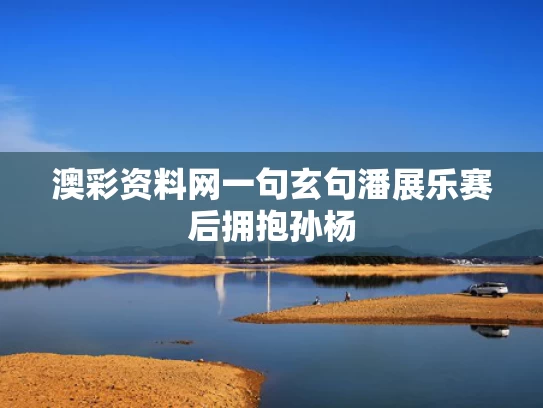 澳彩资料网一句玄句	潘展乐赛后拥抱孙杨