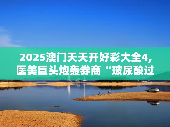 2025澳门天天开好彩大全4,医美巨头炮轰券商“玻尿酸过时”论