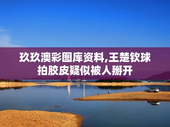 玖玖澳彩图库资料,王楚钦球拍胶皮疑似被人掰开