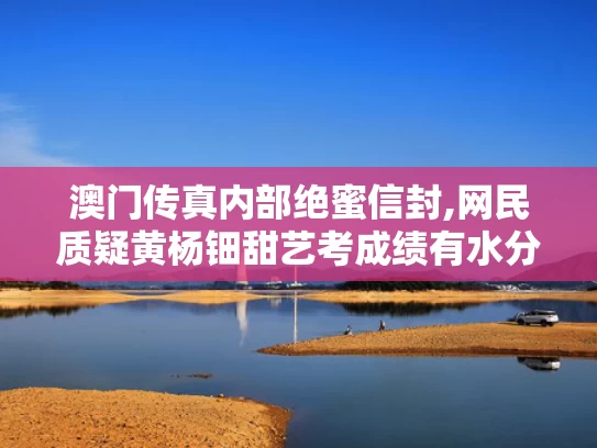 澳门传真内部绝蜜信封,网民质疑黄杨钿甜艺考成绩有水分