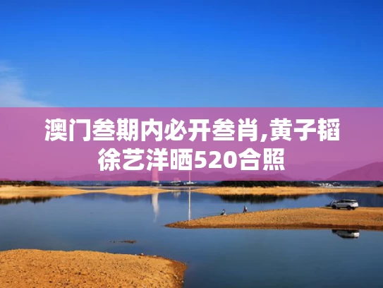 澳门叁期内必开叁肖,黄子韬徐艺洋晒520合照
