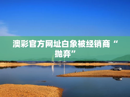 澳彩官方网址	白象被经销商“抛弃”