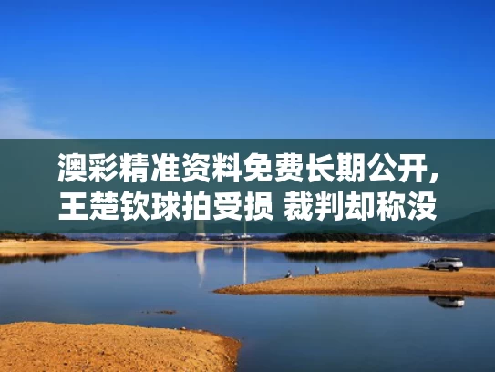 澳彩精准资料免费长期公开,王楚钦球拍受损 裁判却称没关系