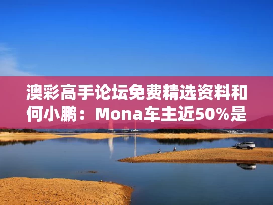 澳彩高手论坛免费精选资料	和何小鹏：Mona车主近50%是女孩子与何小鹏开什么车