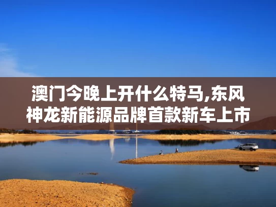 澳门今晚上开什么特马,东风神龙新能源品牌首款新车上市
