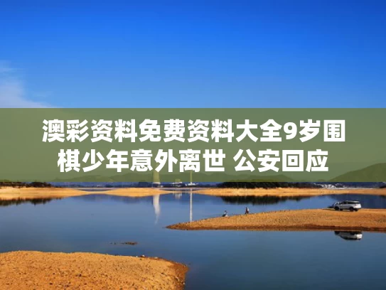 澳彩资料免费资料大全	9岁围棋少年意外离世 公安回应