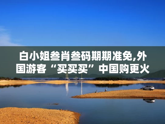 白小姐叁肖叁码期期准免,外国游客“买买买”中国购更火了