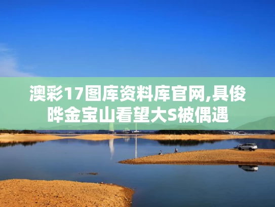 澳彩17图库资料库官网,具俊晔金宝山看望大S被偶遇