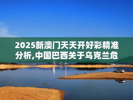 2025新澳门天天开好彩精准分析,中国巴西关于乌克兰危机的联合声明