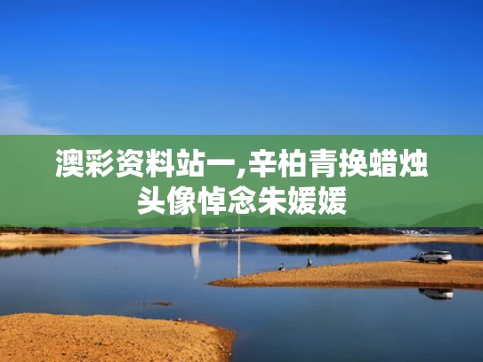 澳彩资料站一,辛柏青换蜡烛头像悼念朱媛媛