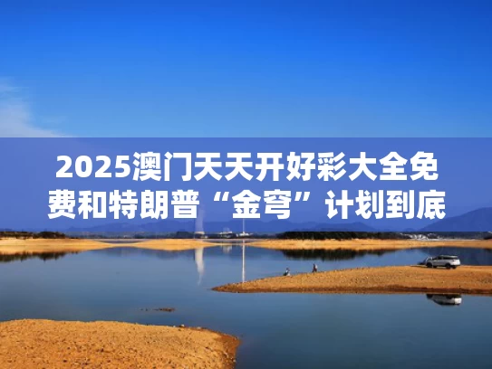 2025澳门天天开好彩大全免费和特朗普“金穹”计划到底是怎么回事与金灿荣 特朗普当年怎么入主白宫