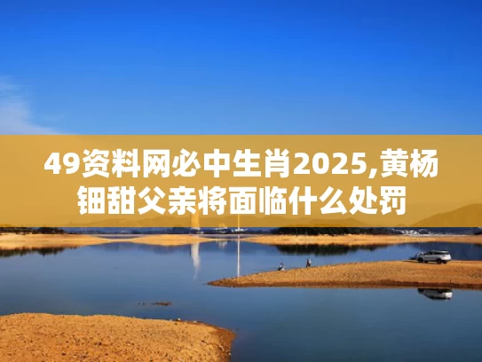 49资料网必中生肖2025,黄杨钿甜父亲将面临什么处罚