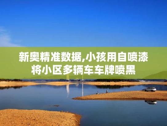 新奥精准数据,小孩用自喷漆将小区多辆车车牌喷黑