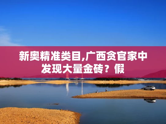 新奥精准类目,广西贪官家中发现大量金砖？假