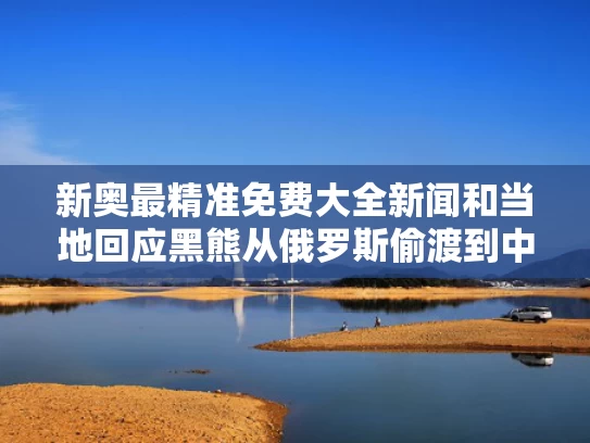新奥最精准免费大全新闻和当地回应黑熊从俄罗斯偷渡到中国与