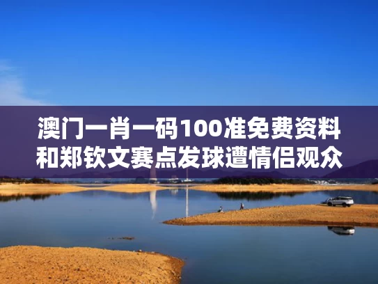 澳门一肖一码100准免费资料和郑钦文赛点发球遭情侣观众离场干扰与乙先天麻素片的作用