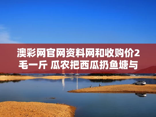 澳彩网官网资料网和收购价2毛一斤 瓜农把西瓜扔鱼塘与批发部收购西瓜多少钱一斤