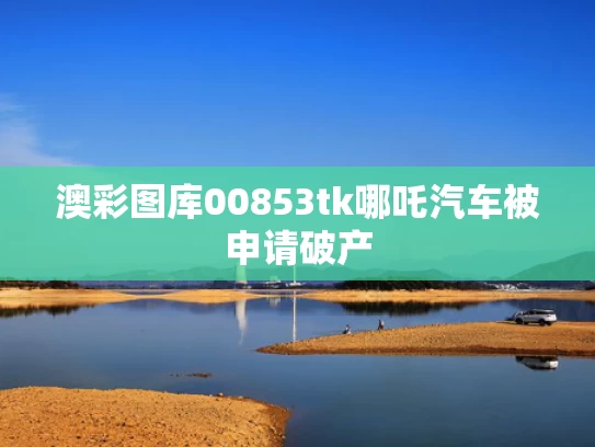 澳彩图库00853tk	哪吒汽车被申请破产