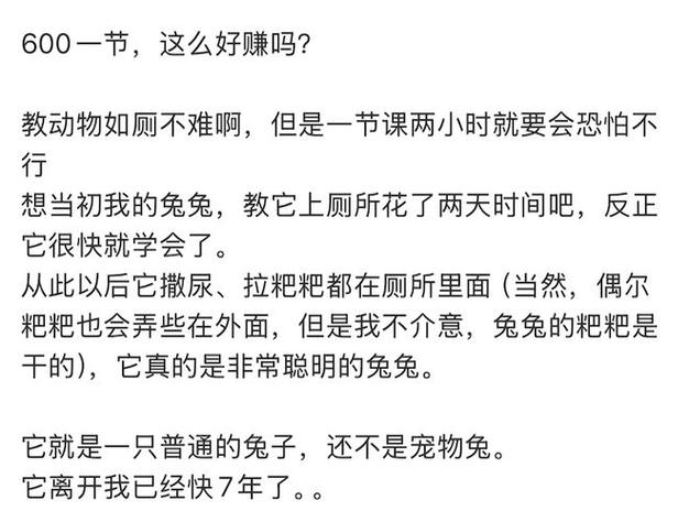 2005新澳门天天开好彩和600一节课教狗如厕与600一节课教狗如厕没学会钱也不退