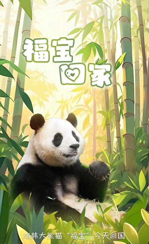 新澳2025今晚开奖结果和4旅日大熊猫将回国与旅日20年熊猫将回国 视频