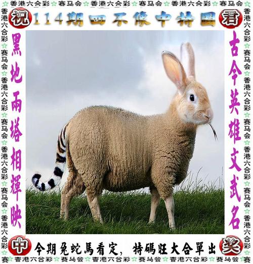 港彩二四六天天好资料和景区月薪3万招NPC与景区工资