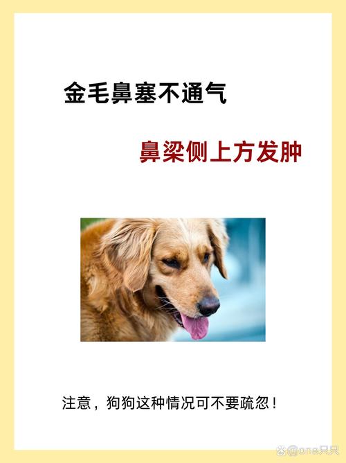2025全年資料免費大全和挖鼻孔满脸肿胀变形与挖鼻孔满脸肿胀变形怎么办