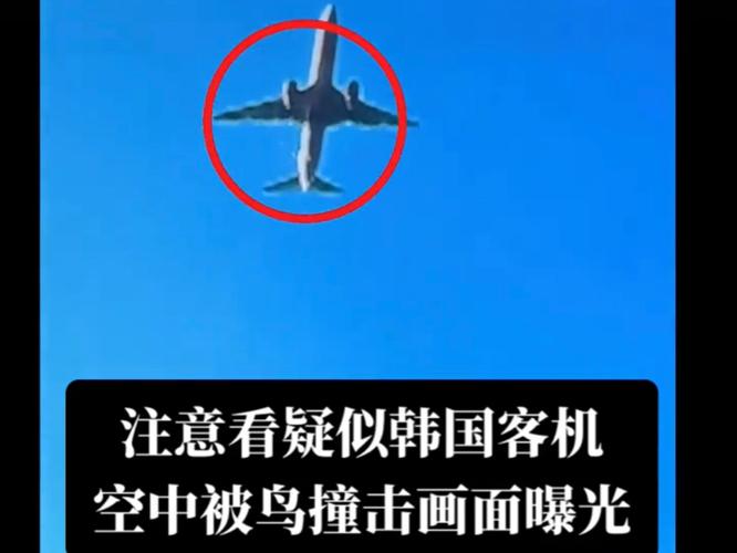 新澳2025资料最新大全和韩国发生飞机坠毁与韩国发生飞机坠毁事件