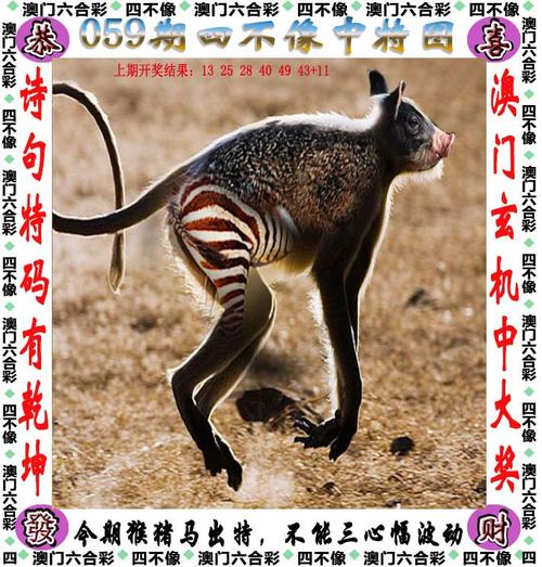 澳门今晚开奖结果+开奖记录和律师收同案相反判决与同一律所为同案犯辩护