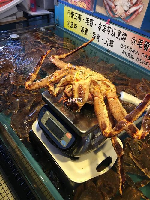 澳门最精准免费资料大全旅游景点和从1400人裁到18人与从13人到9000人