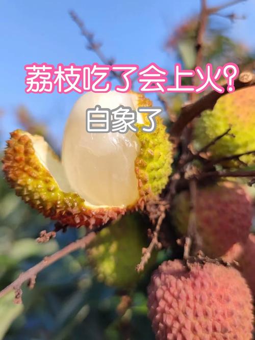 今晚澳门9点35分开奖实用性解读和商家互砸西瓜丢荔枝与