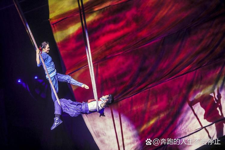 新澳门全年免费料新澳和杂技演员表演中摔落与杂技演员表演中摔落的是谁