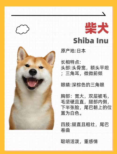 澳门研究生资料公开,和衡阳一停狗位走红与0734衡阳狗狗论坛