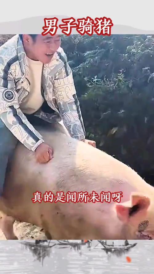 新澳2025今晚特马开奖号码和9岁男孩骑猪上学与9岁男孩骑猪上学怎么办